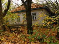 Autumn in Chornobyl