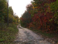 Autumn in Chornobyl