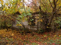 Tschernobyl im Herbst