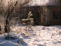 Зимовий ранок у Чорнобилі