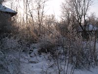 Winter Morning in Chornobyl
