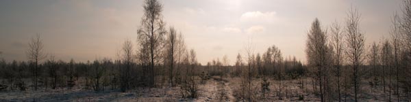 Wintermorgen in der Sperrzone von Tschernobyl