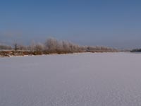 Зимовий ранок на річці Уж