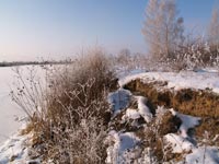 Winter morning on river Uzh