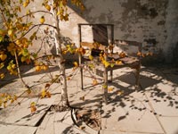 Autumn in Pripyat