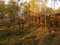 Позиція РЛС у передмісті Чорнобиля