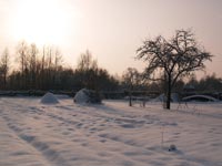 Winter morning in village Paryshyv