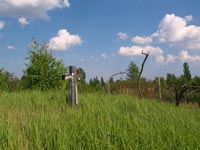 cemetery of homestead Pidlisnyj