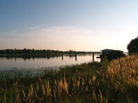 Village Straholissja. Border of Chornobyl Zone of Alienation