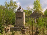 Das Dorf Towstyj Lis