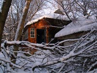 Зима у Чорнобильський Зоні