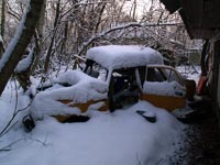 Winter in village Zalissia