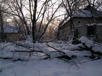 Зима у селі Залісся