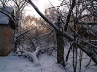 Зимовий ранок у селі Залісся